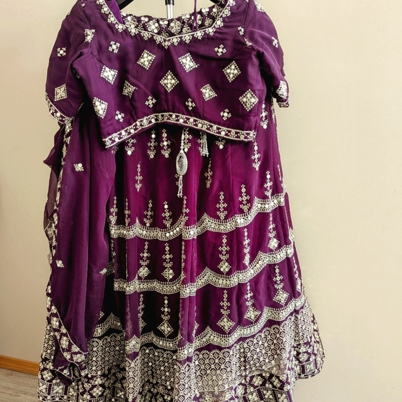 Party style Lehnga ,stitched blouse with embroidered dupatta - Picture 1 of 14